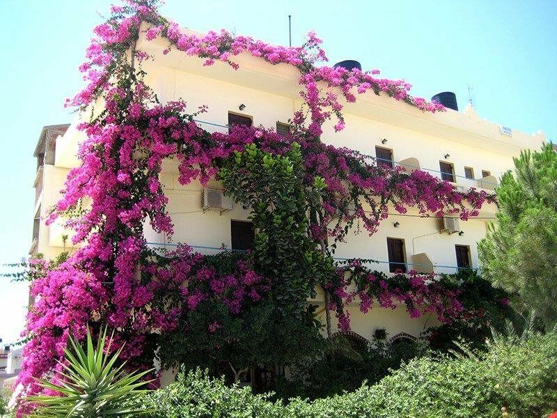 Knossos Hotel Kalamaki  Zewnętrze zdjęcie
